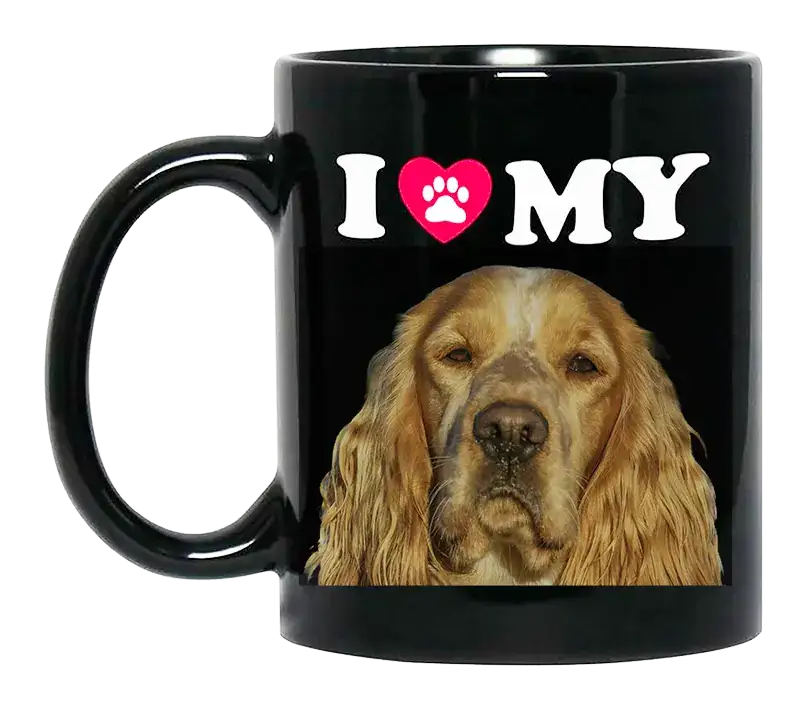 photos,animaliers,vidéo,photos créatives,Cocker Anglais