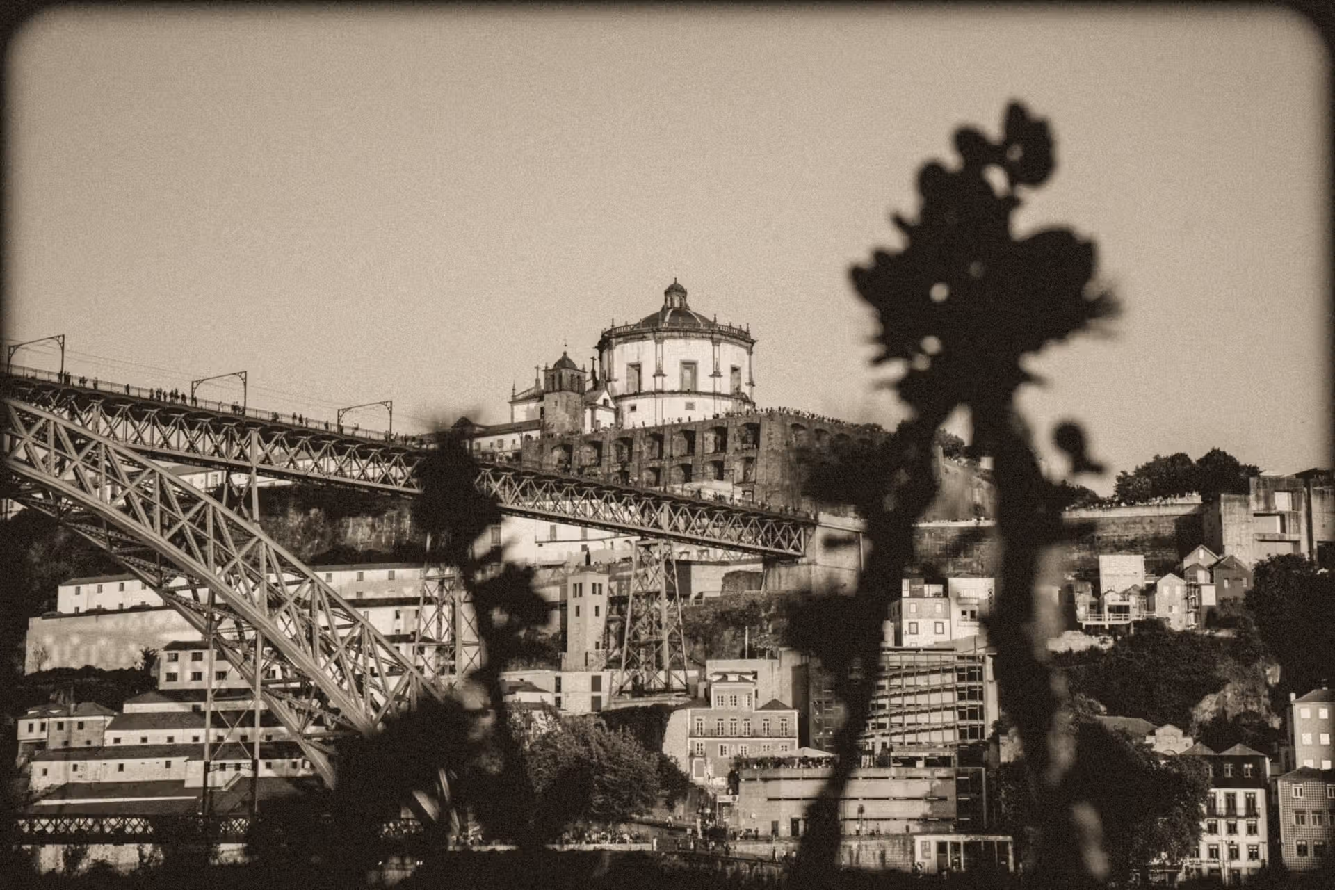 créatives,des Photos des Vidéos,street art,corse,freestyle