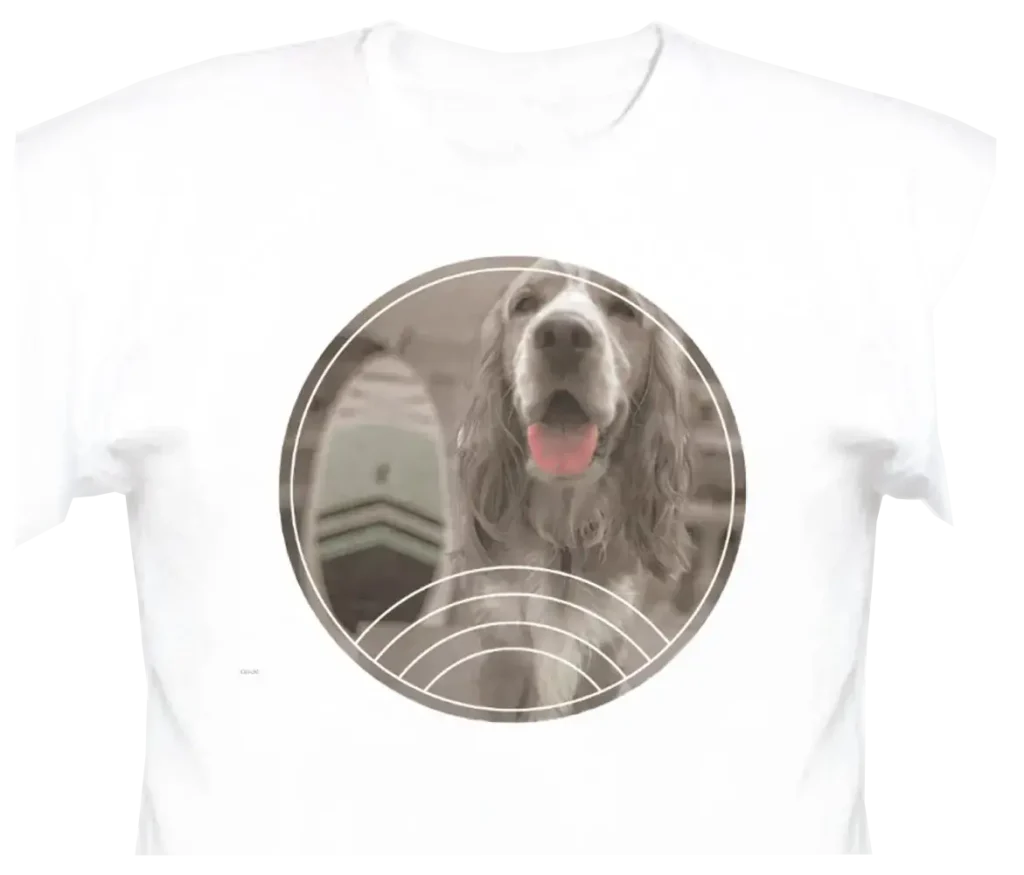 photos,animaliers,vidéo,photos créatives,Cocker Anglais